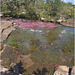 EF7A7482 stitch