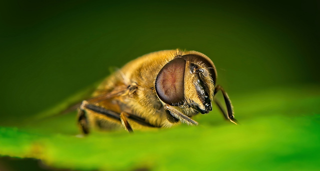 Heute mache ich mal nichts :)) Today I'm not doing anything :)) Aujourd'hui je ne fais rien :))