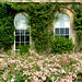 Italianate Windows at Bowood