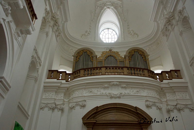 the organ