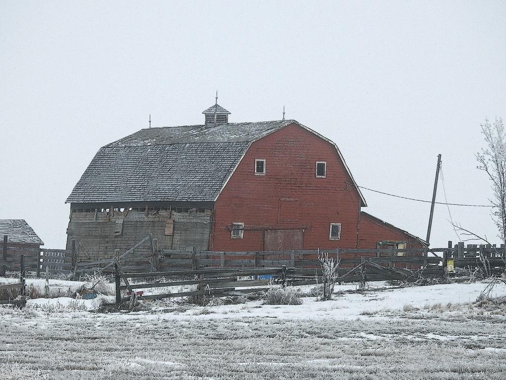 Old red barn on a foggy day
