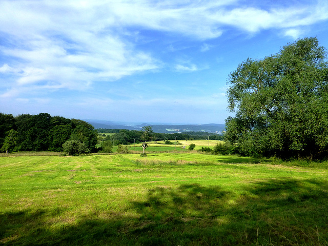 DE - Linz - Landscape near Dattenberg