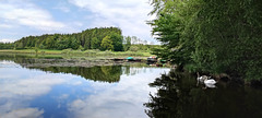 Idylle am Holzmühleweiher