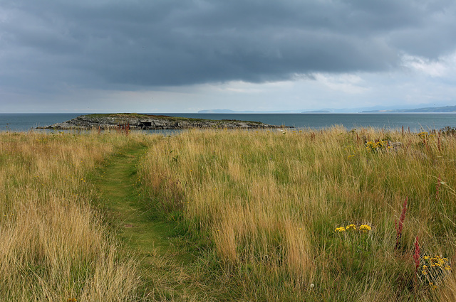 Ynys Moelfre