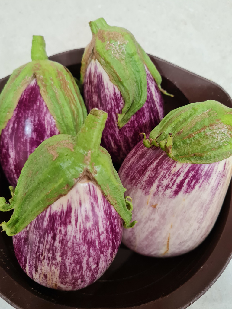 Striped aubergines