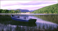 Loch Garten