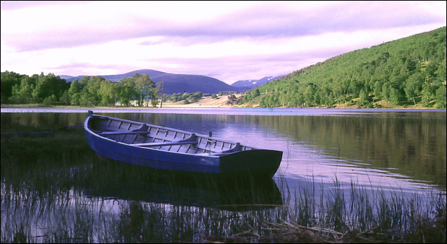 Loch Garten