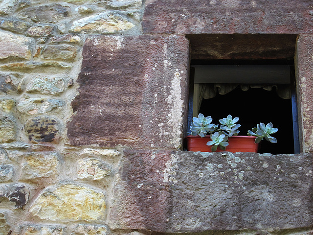 Ventana, Santillana del Mar, Cantabria.