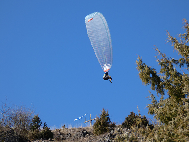 Drachenflieger