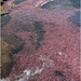EF7A7462 stitch