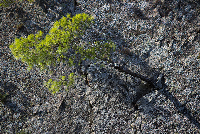 sur le volcan