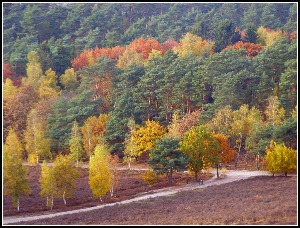 Moor Colors