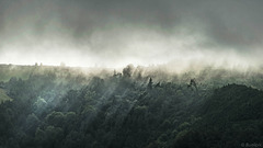 Nebel über den Hügeln bei Povoação  (© Buelipix)