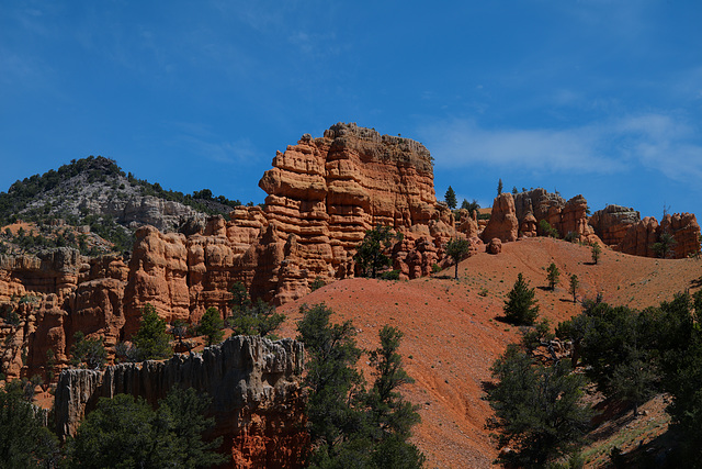 Bryce Canyon Nat Park, Utah L1007608