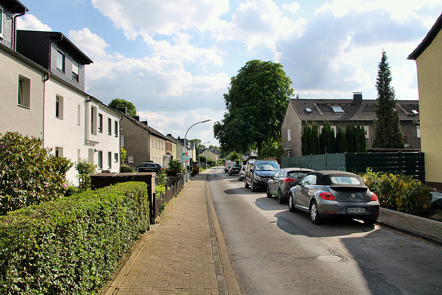 Röttgersbankstraße (Herne) / 25.05.2019