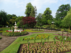 Shrewsbury quarry newly planted