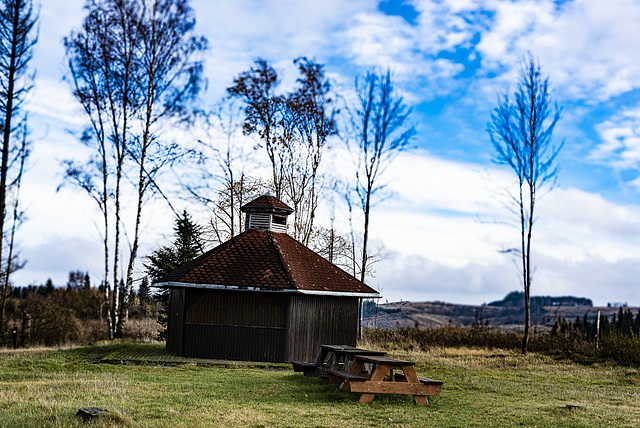 20231118_benneckenstein spaziergang