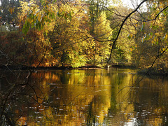 Der Herbst ist sooo bunt!