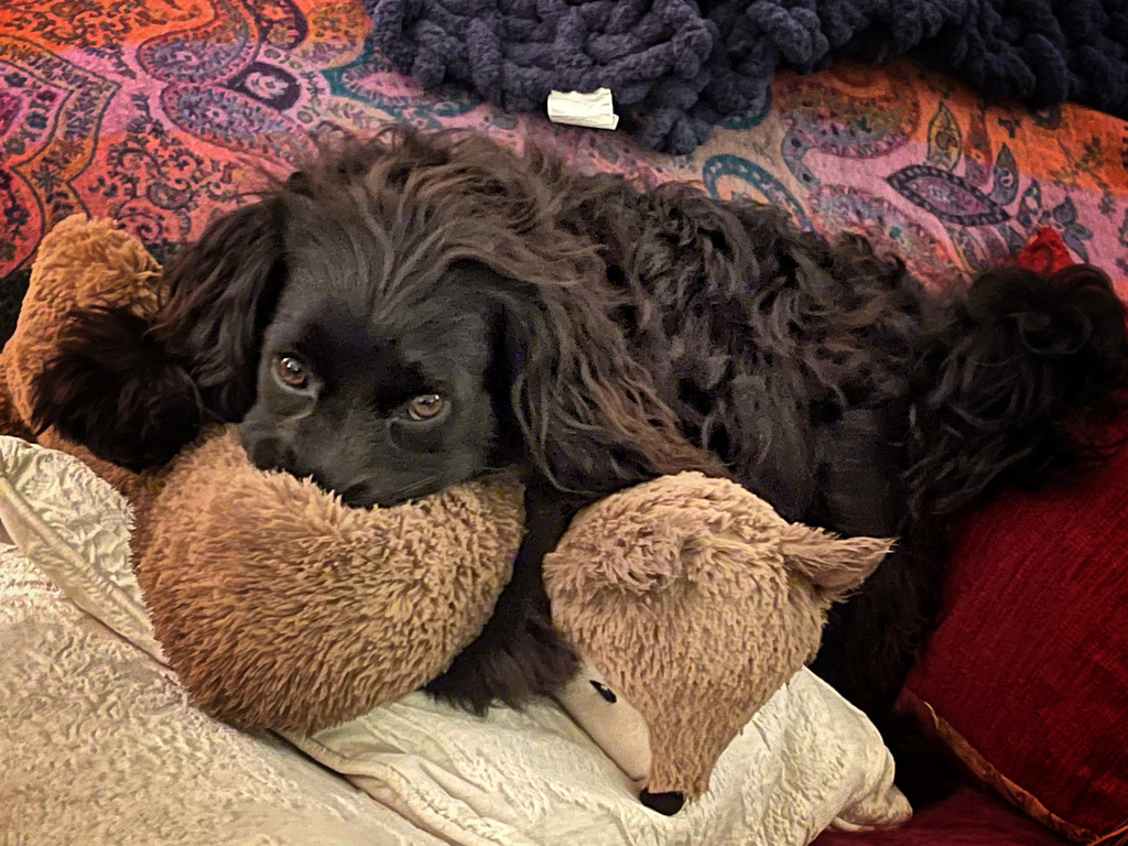 Noah with his favourite toy