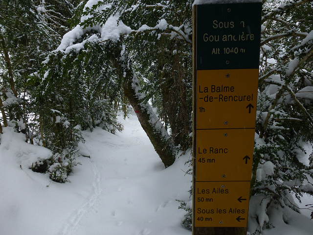 20150131 Raquettes Vercors La Goulandiere (77) al
