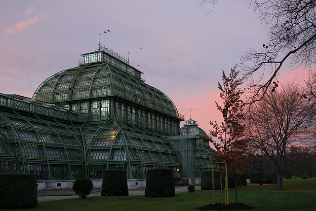 Wien Palmenhaus