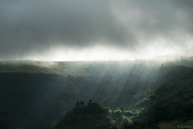 Nebel über den Hügeln bei Povoação  (© Buelipix)