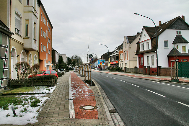 Kamener Straße (Hamm-Pelkum) / 3.02.2019