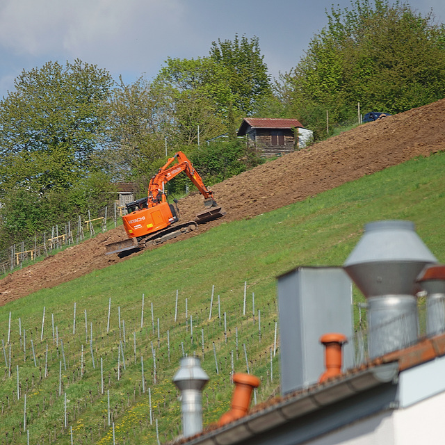 Weinbergbau (am Mönchberg)