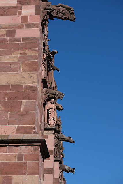 Freiburger Dachrinnen, Fallrohre, Wasserspeier