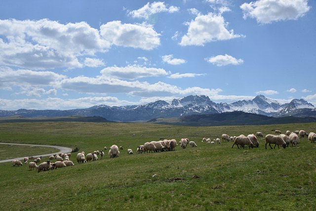 Durmitor Mountain Range.