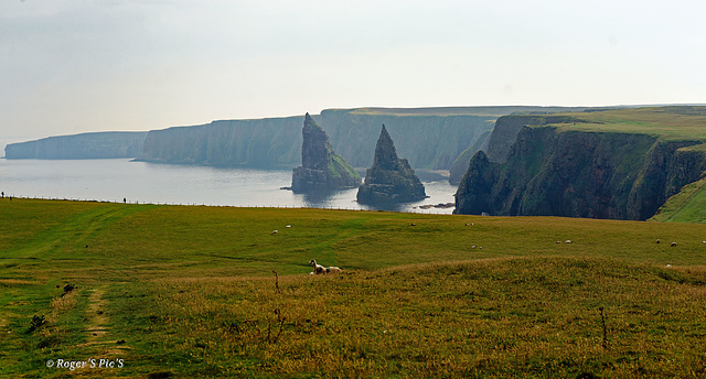 Misty Stacks