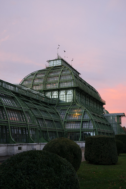 Wien Palmenhaus