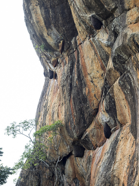 Sigiriya, Sri Lanka tour - the seventh day