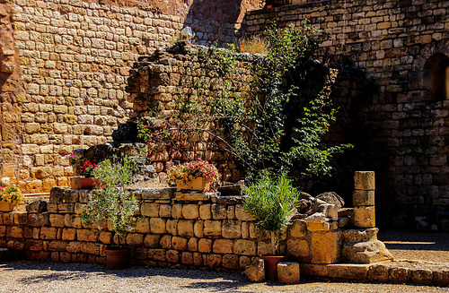 L'Abbaye de Fontcaude: A View inside