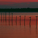 Die Müritz am Abend