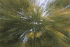 Surreal Zoom
