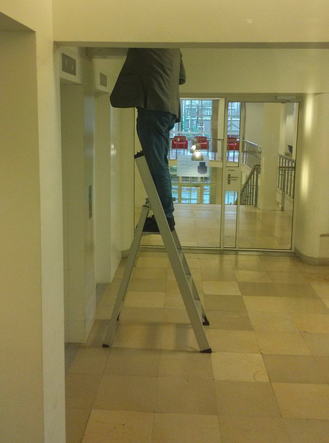 Climbing the corporate ladder