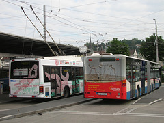 DSCN2060 VBL (Luzern) 210 and 150 - 14 Jun 2008