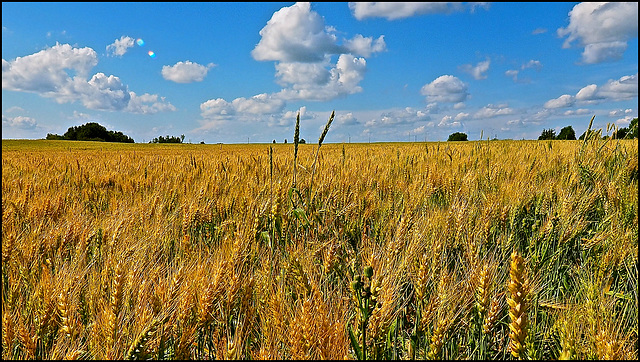 Wetaskiwin, Alberta