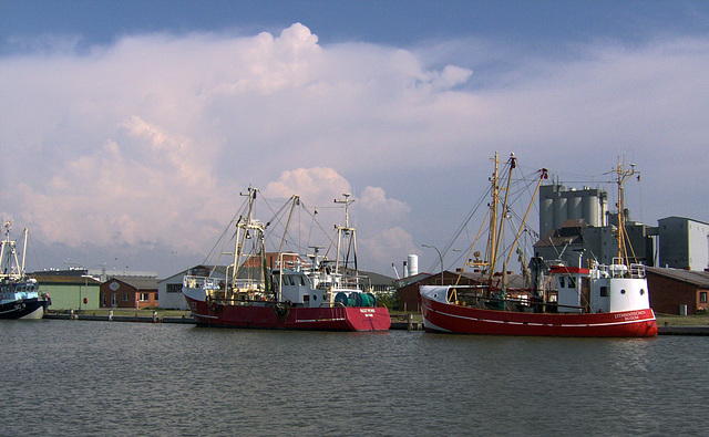 Im Fischereihafen Büsum