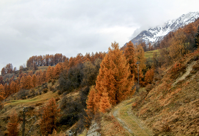 Herbst in den Dolomiten