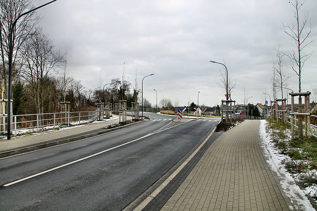 Kamener Straße (Hamm-Pelkum) / 3.02.2019