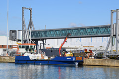 Seahorse at Southampton - 16 October 2020