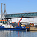 Seahorse at Southampton - 16 October 2020