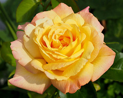 P8020110