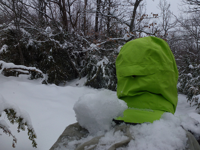 20150131 Raquettes Vercors La Goulandiere (79) al