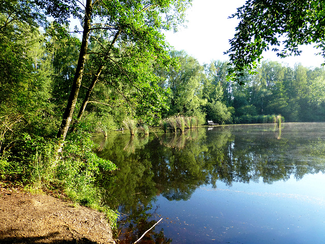 DE - Erftstadt - Karauschenweiher