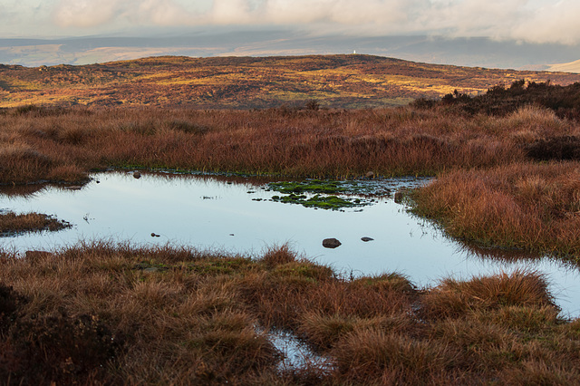 Moorland Pond