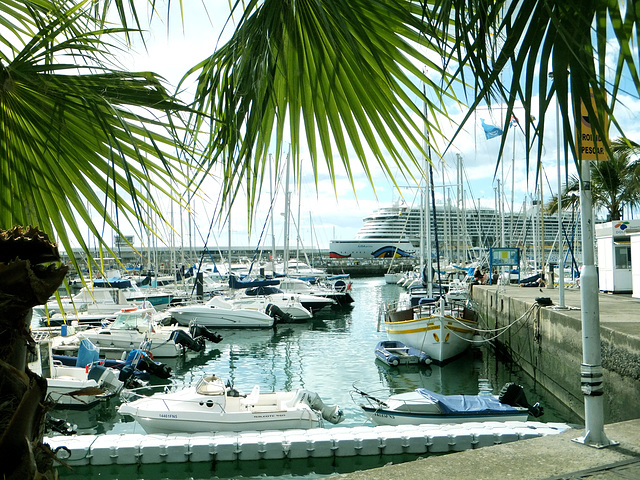 Funchal Hafen. ©UdoSm