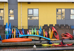 Urban kayaks and goose